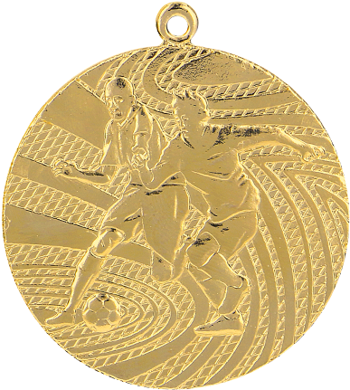 Medal (570x630), Png Download