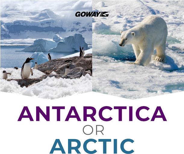 Ecosistema De Clima Frio (610x521), Png Download