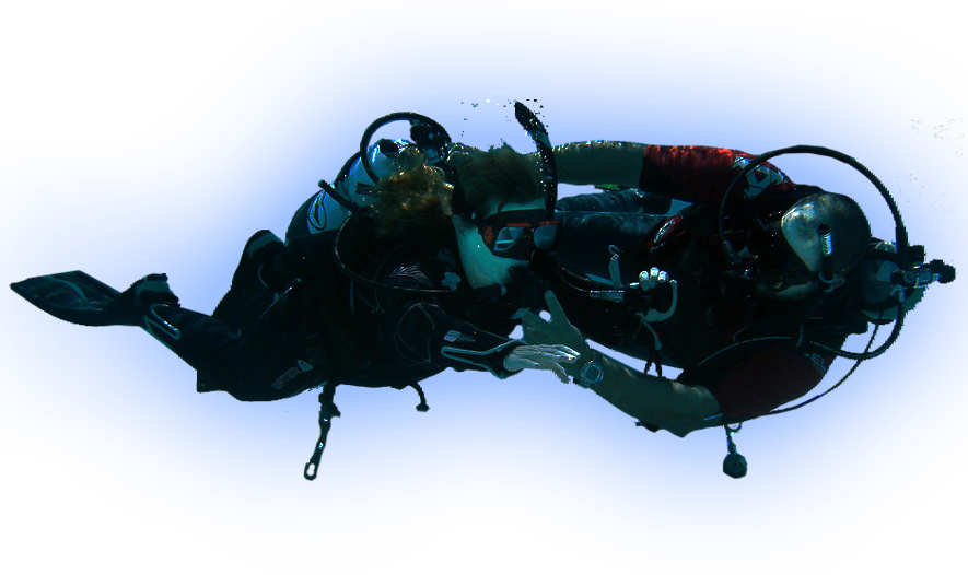 Go Pro Teach Diving - Japanese Rhinoceros Beetle (885x526), Png Download