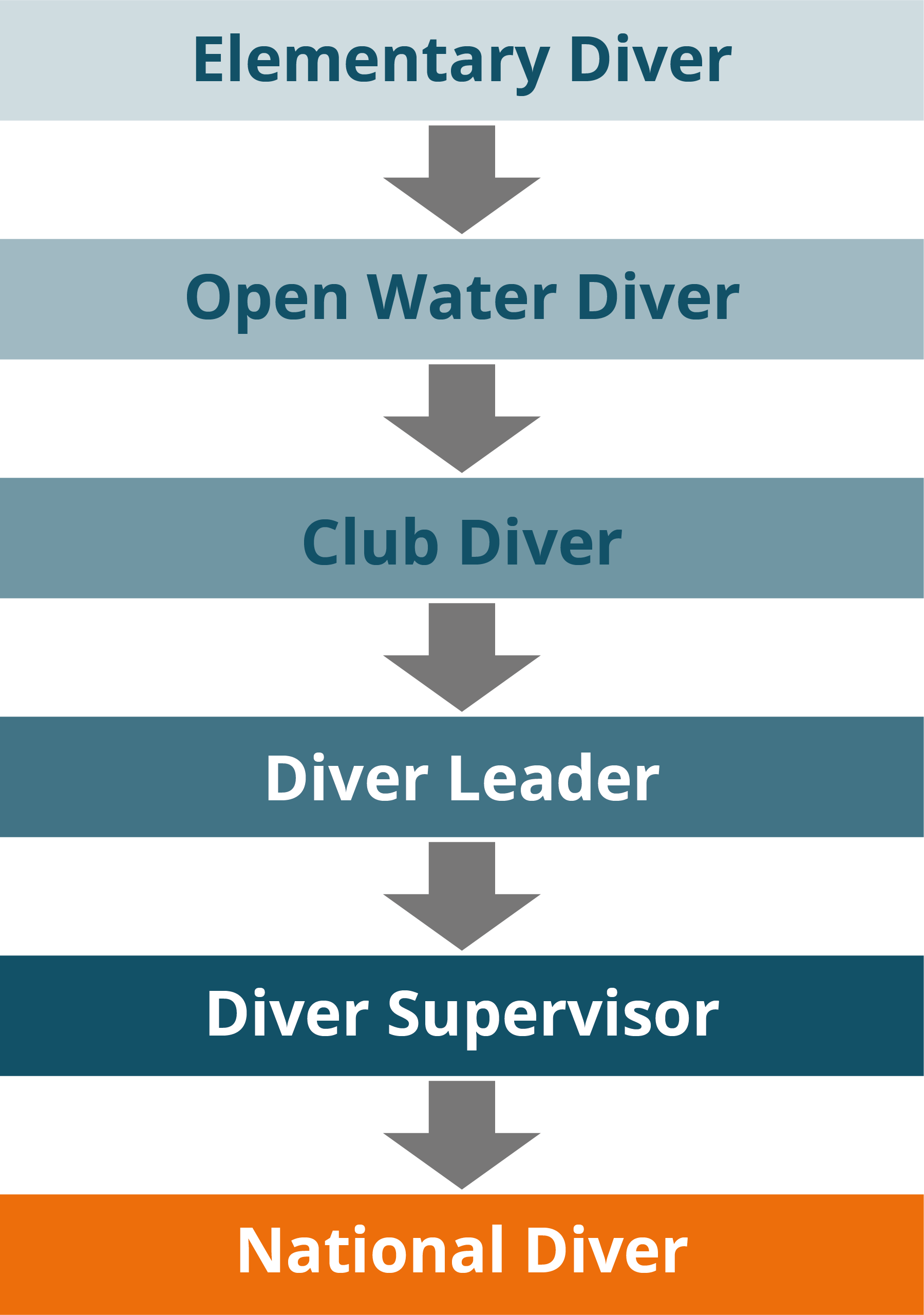 Upon Successful Completion Of The Dive Leader Grade, - Graphic Design (1799x2560), Png Download