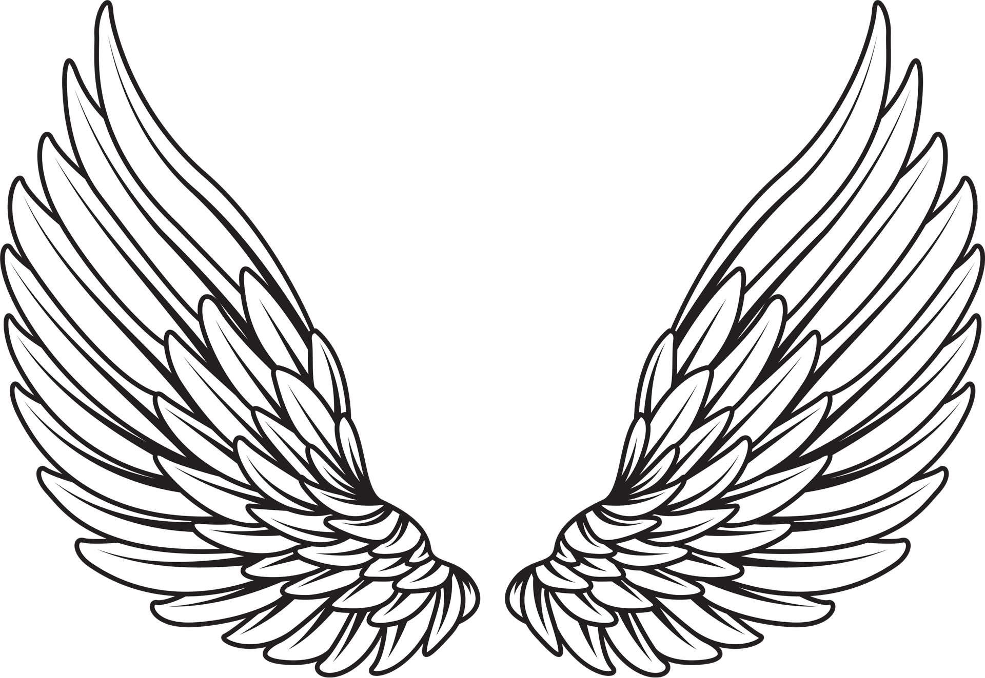 Activating Angels - Black And White Vector Wing (1920x1323), Png Download