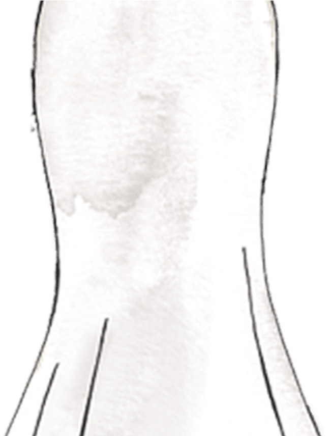 Silhouette Guide Wedding Dress Styles & Shapes David's - Monochrome (1368x855), Png Download