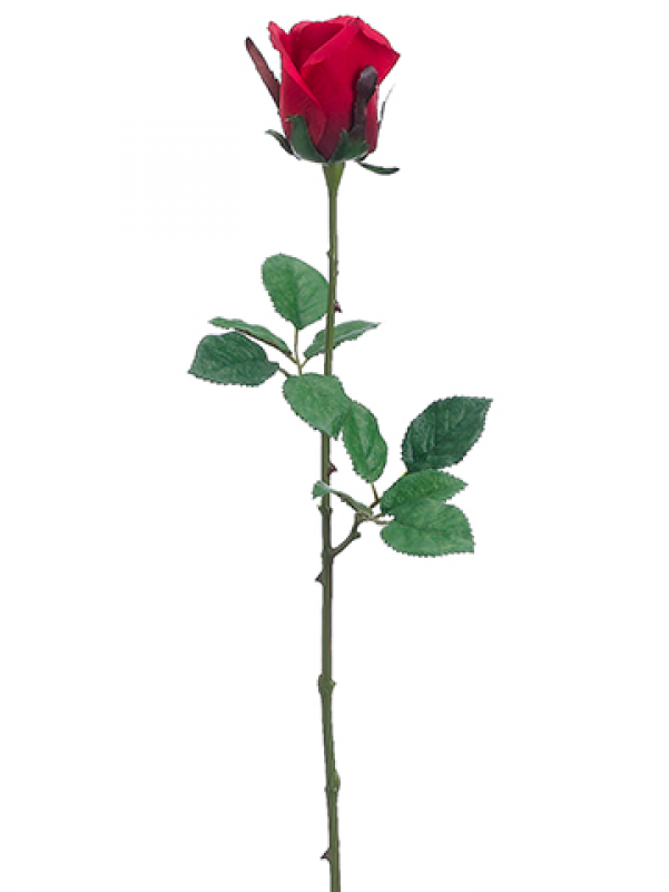 24" Medium Ecuador Rose Bud Spray Red - Rose Bud Rose Stem (800x800), Png Download