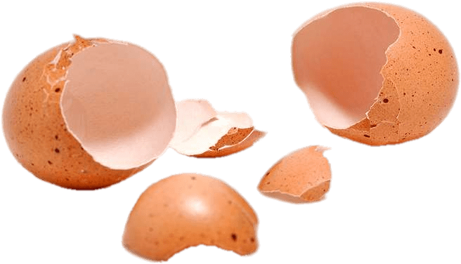 Food - Eggshells - Egg Shells (800x533), Png Download