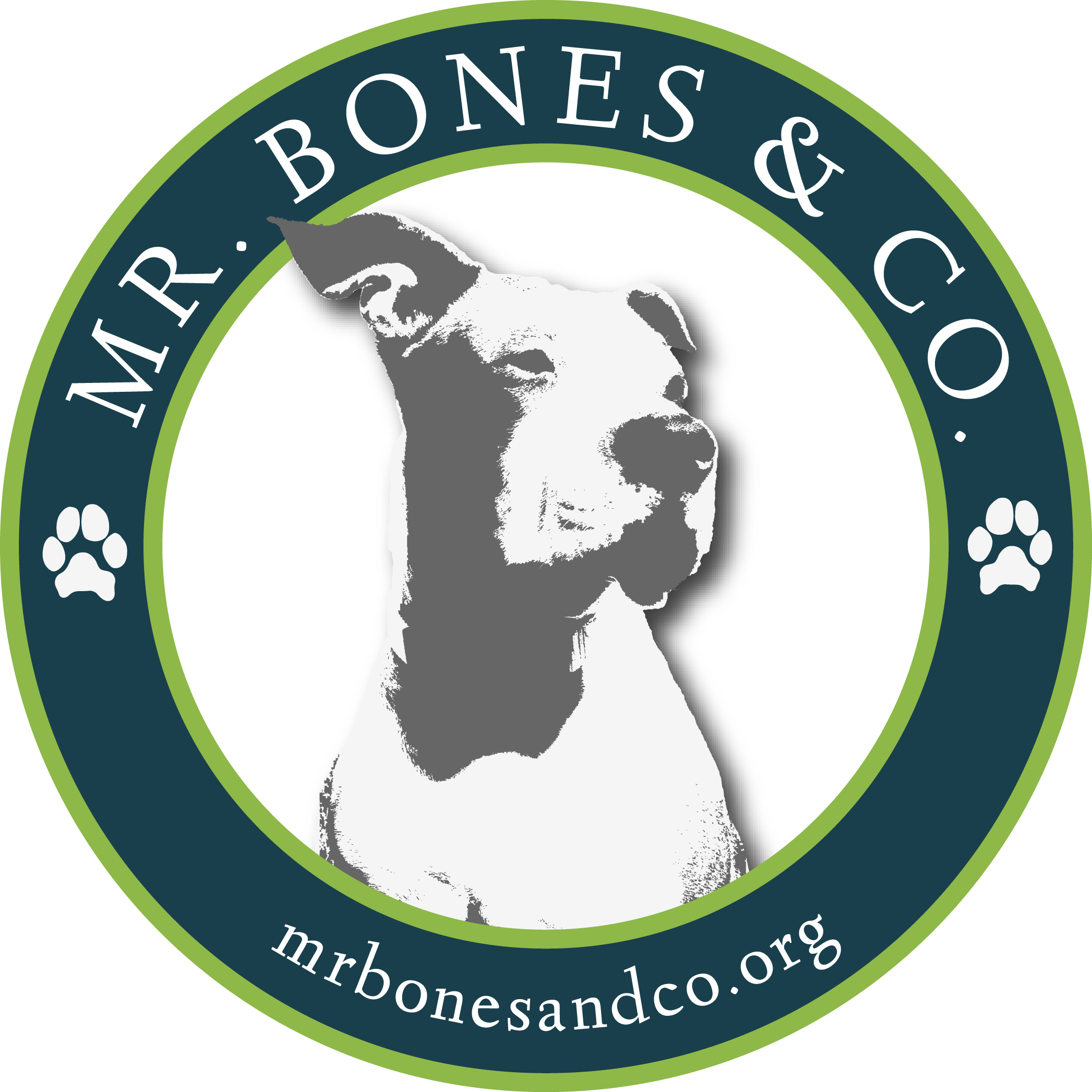 Bones Logo - Mr Bones (2093x2093), Png Download