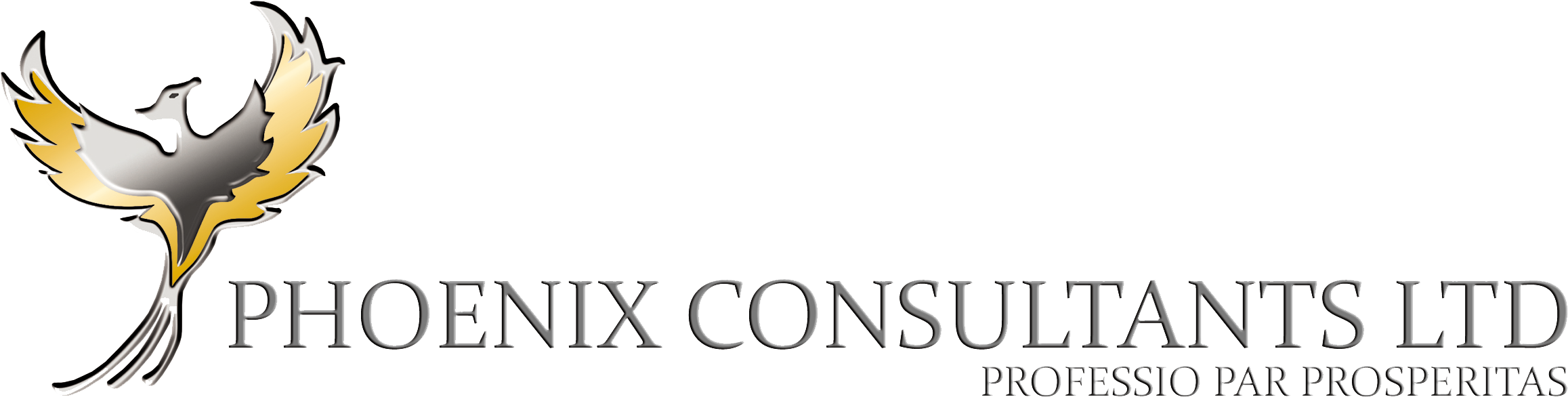 Phoenix Consultants Ltd/1st Floor, Kings Court, Bay - Excuse My Dear Aunt Sally (2362x850), Png Download