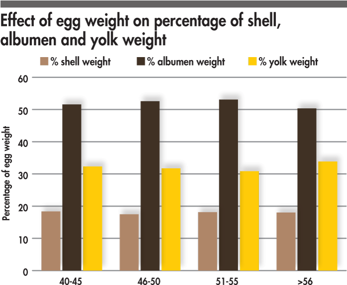 Egg Weight Percentages - Number (700x580), Png Download