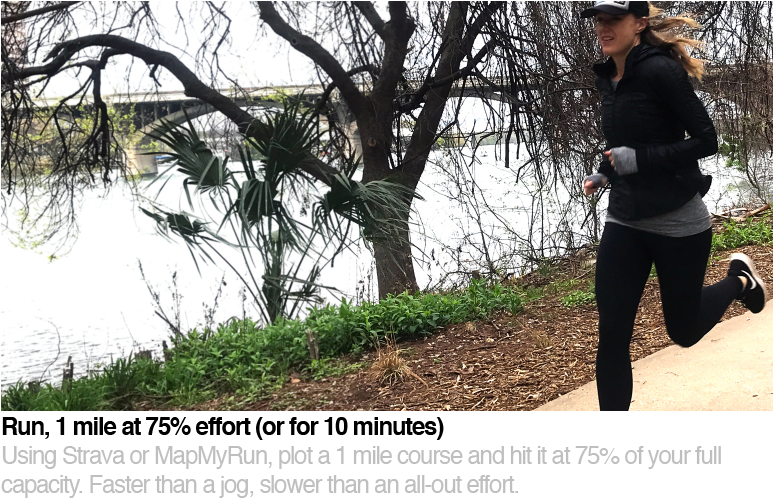 01 High Res - Tree (772x541), Png Download