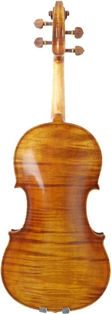 Professional Violins (575x1163), Png Download