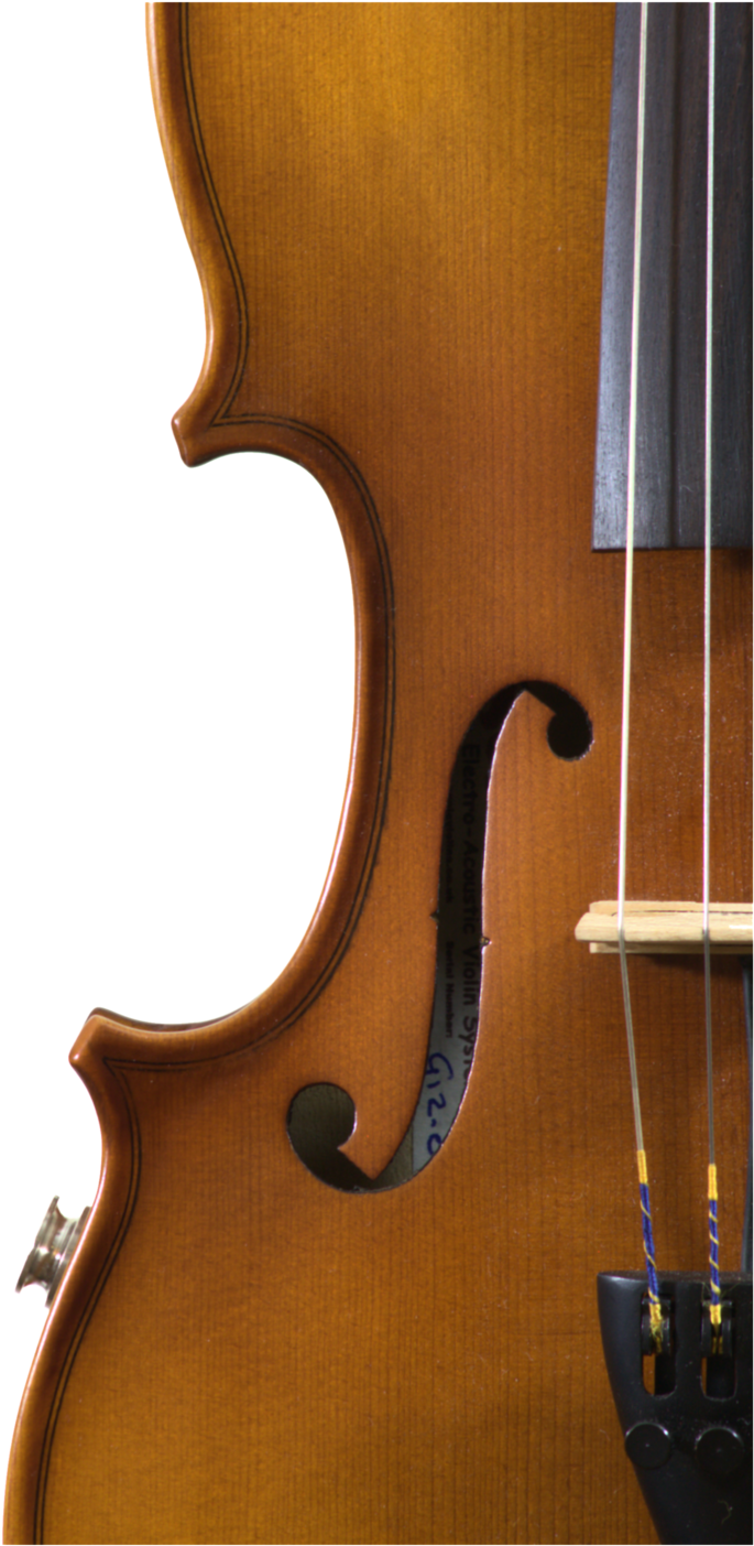 Attack Fhole - Viola (1000x1600), Png Download