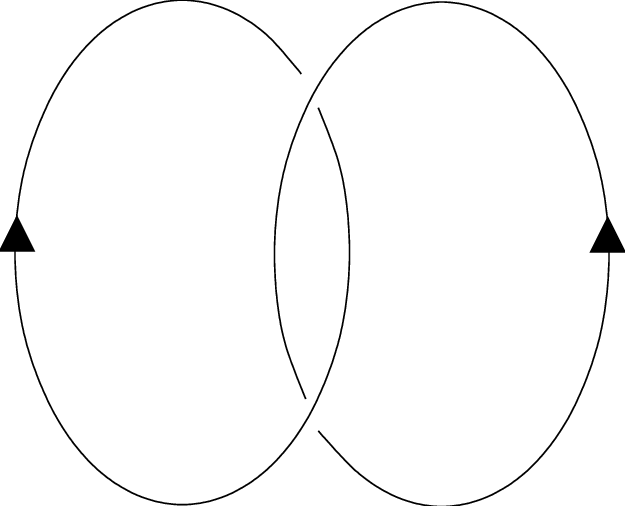 The Link Whose Link Invariant In The Three Sphere S - Circle (625x506), Png Download