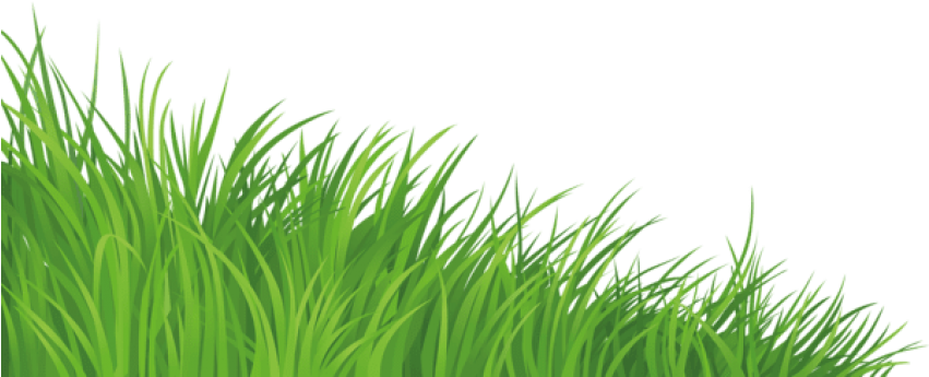 Free Png Download Grass Elementpicture Png Images Background - Grass Image In Png (850x363), Png Download