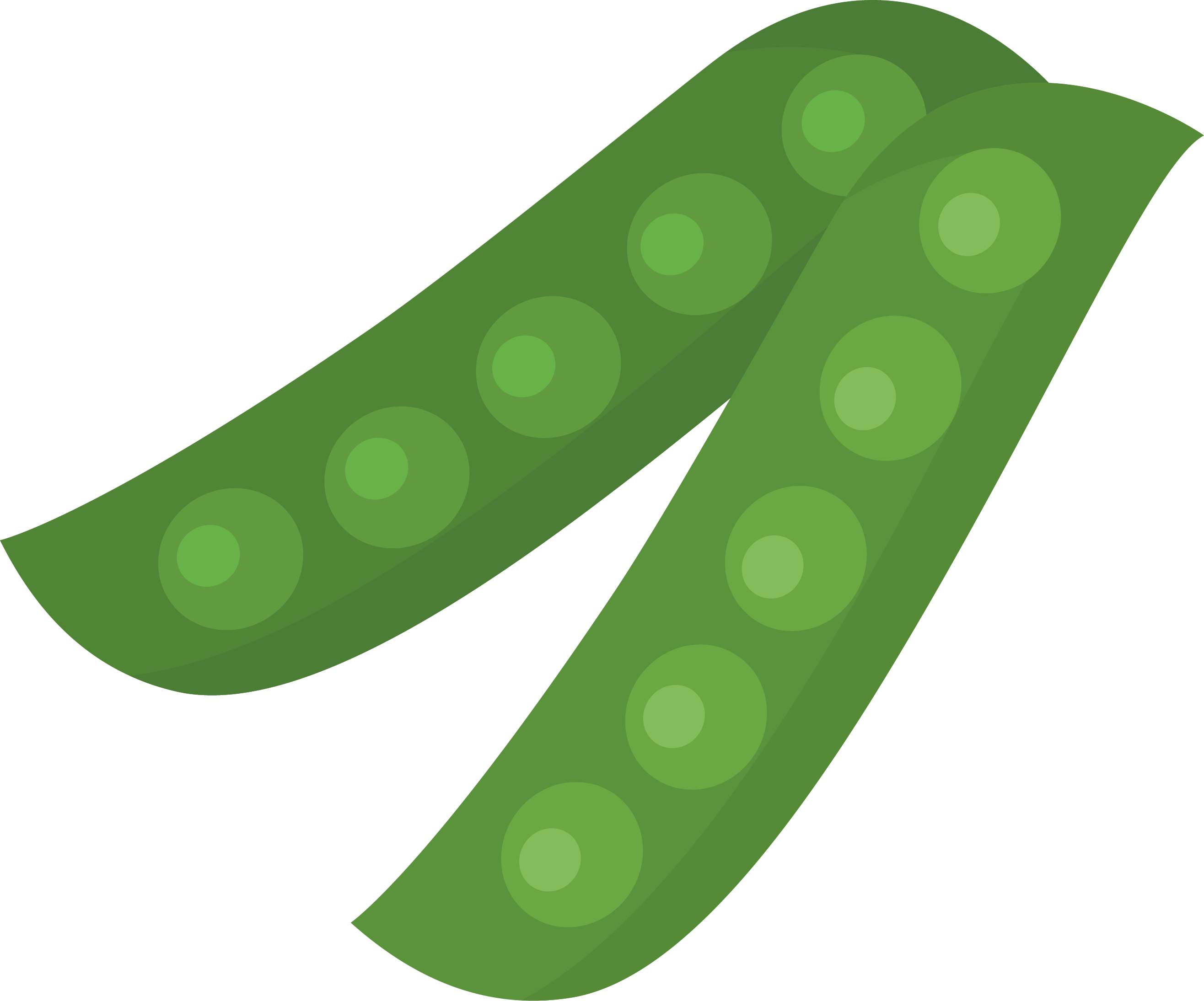 Pea Cartoon Transprent Png - ผัก การ์ตูน Png (2632x2189), Png Download