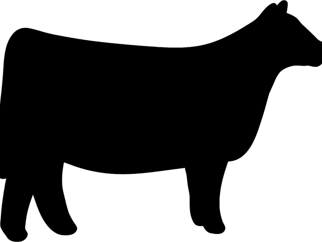 Cow Clipart Silhouette - Show Heifer Silhouette (640x480), Png Download