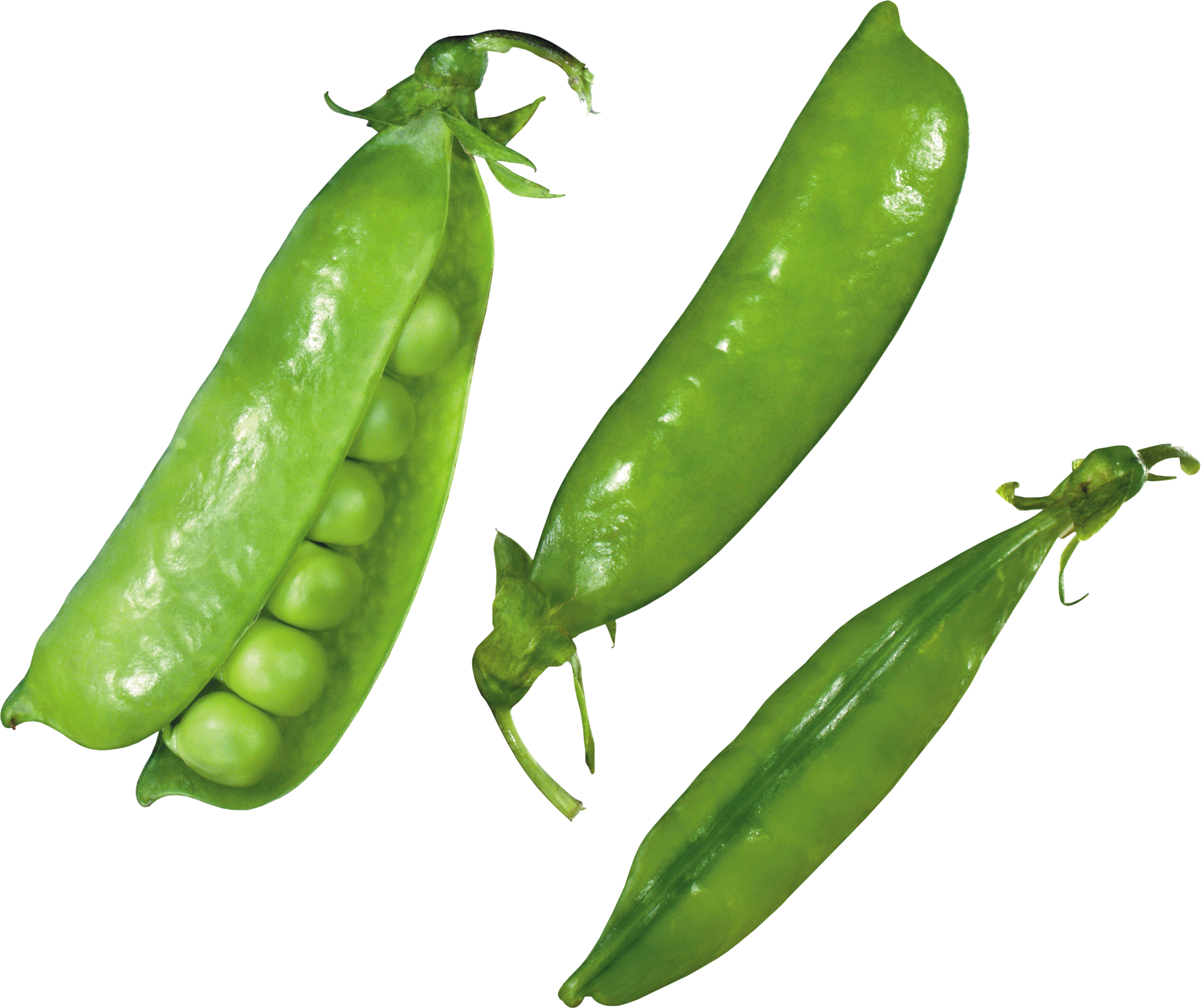 Pea (3049x2561), Png Download