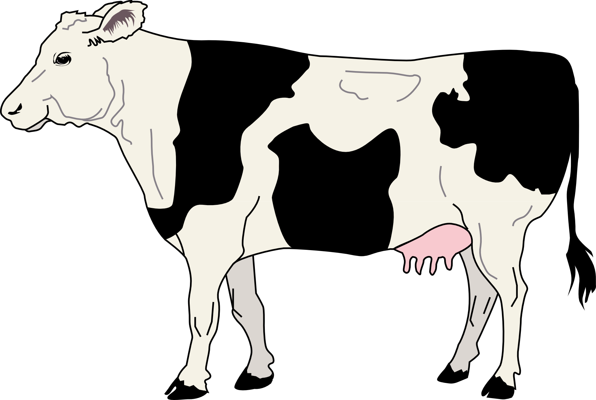 Cattle Silhouette With Fence Png - Side Of A Cow (1920x1289), Png Download