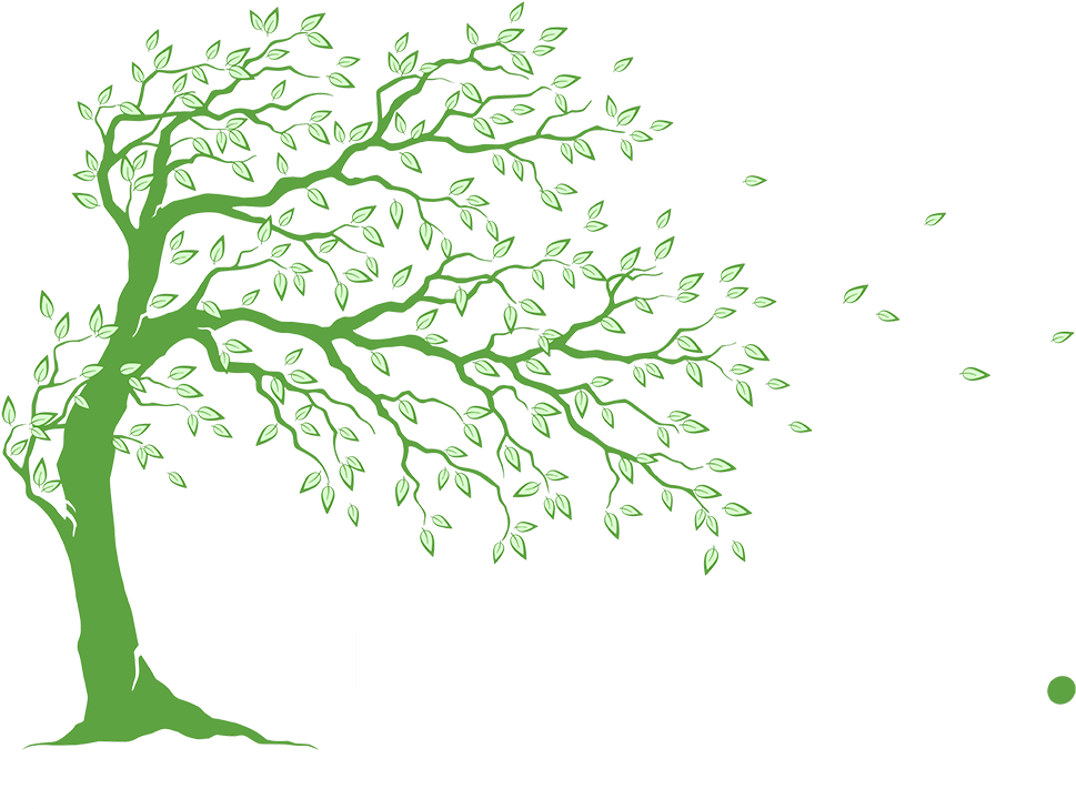 Arboricultural Services Treework Ltd - Tree (1000x772), Png Download
