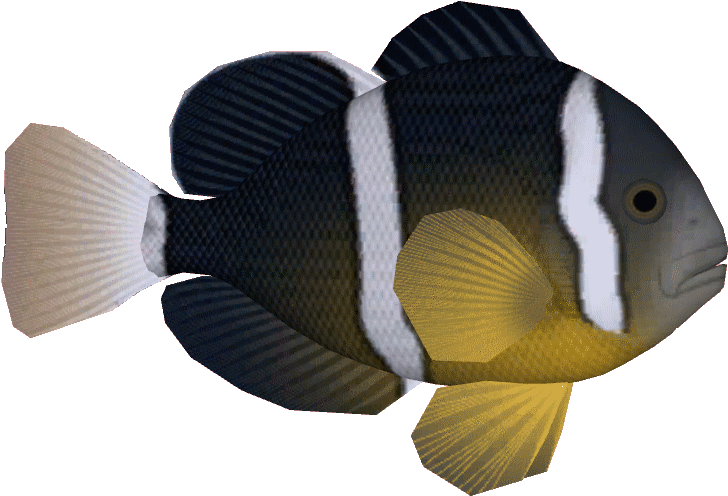 Yellowtailclown - Coral Reef Fish (773x773), Png Download