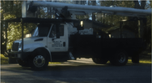 Tree Stump Removal - Commercial Vehicle (951x350), Png Download