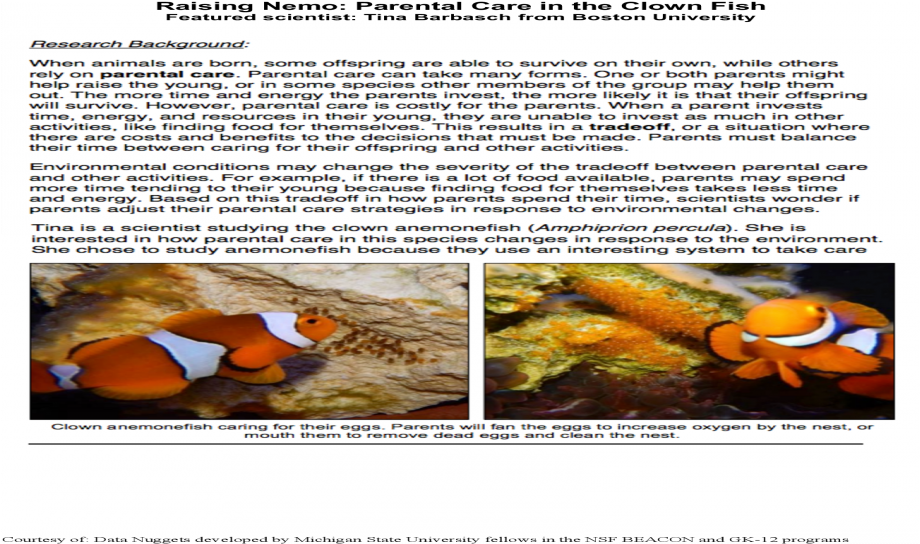 Parental Care In The Clown Fish Of - Coral Reef Fish (1200x630), Png Download