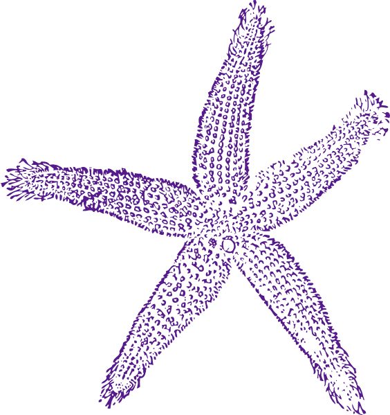Star Fish Deep Plum Purple 551a8b Clip Art - Fish Clip Art (564x599), Png Download