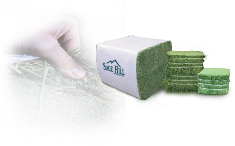 The Stored Hay Is Brought Into A Staging Area Where - Artificial Turf (780x469), Png Download