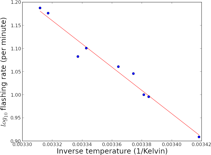Fit Of An Arrhenius Law To Fire Fly Flashing Rate Data - Diagram (800x600), Png Download