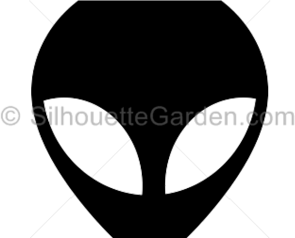 Filtro De Gasolina Neon 2000 (640x480), Png Download