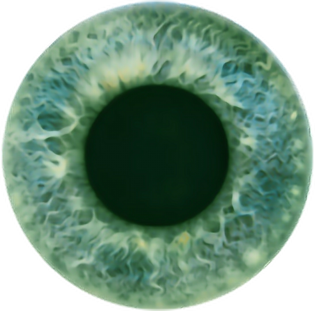 Download Eye Sticker Eye Color Chart Transparent PNG Download SeekPNG