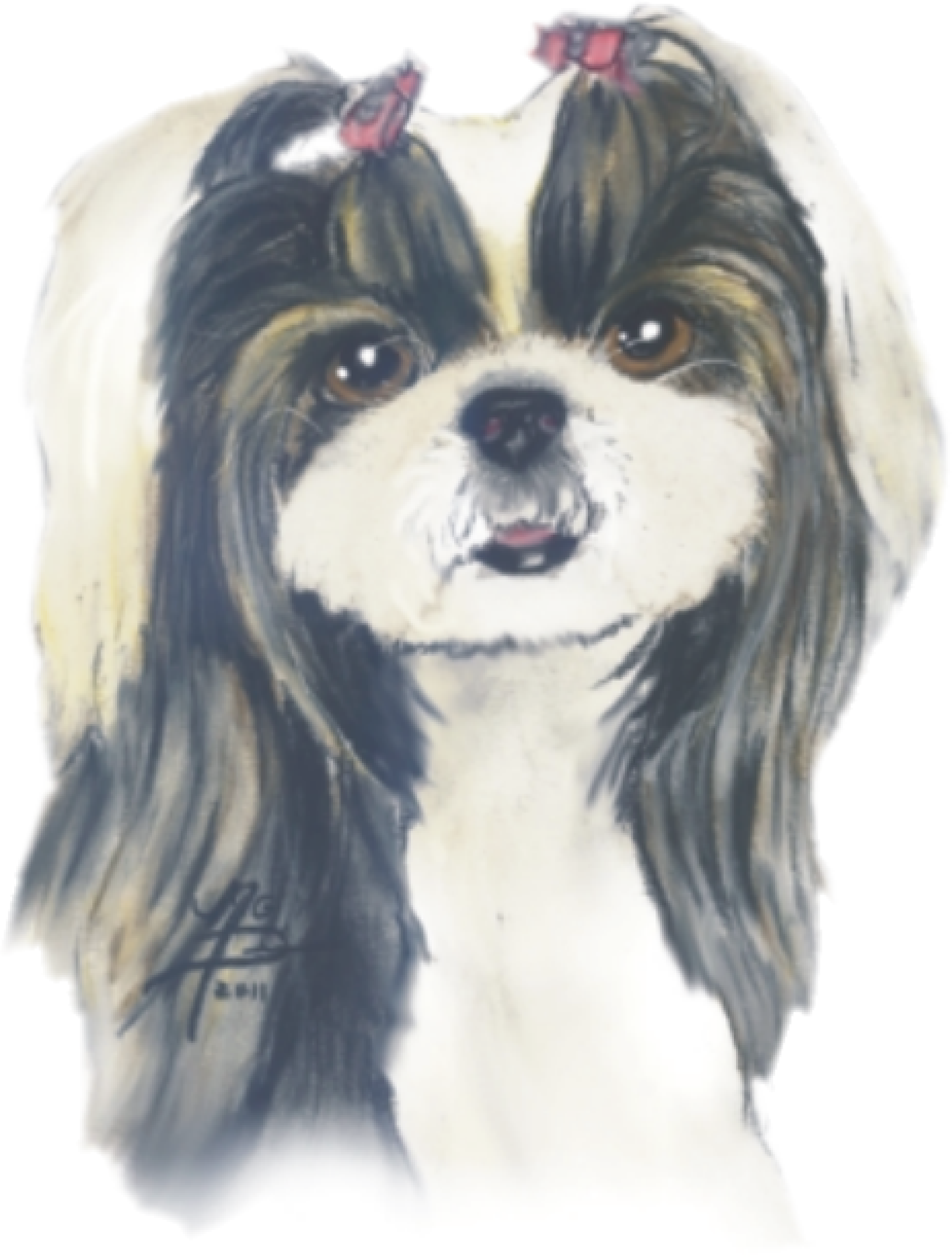 Shih Tzu Portrait/art - Companion Dog (2750x3629), Png Download
