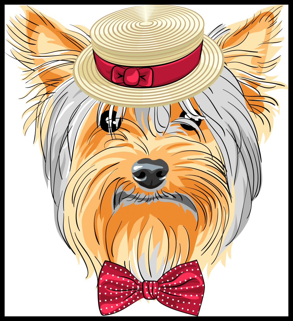 Puppy Clipart Yorkie - Yorkie Dog Vector (964x1054), Png Download