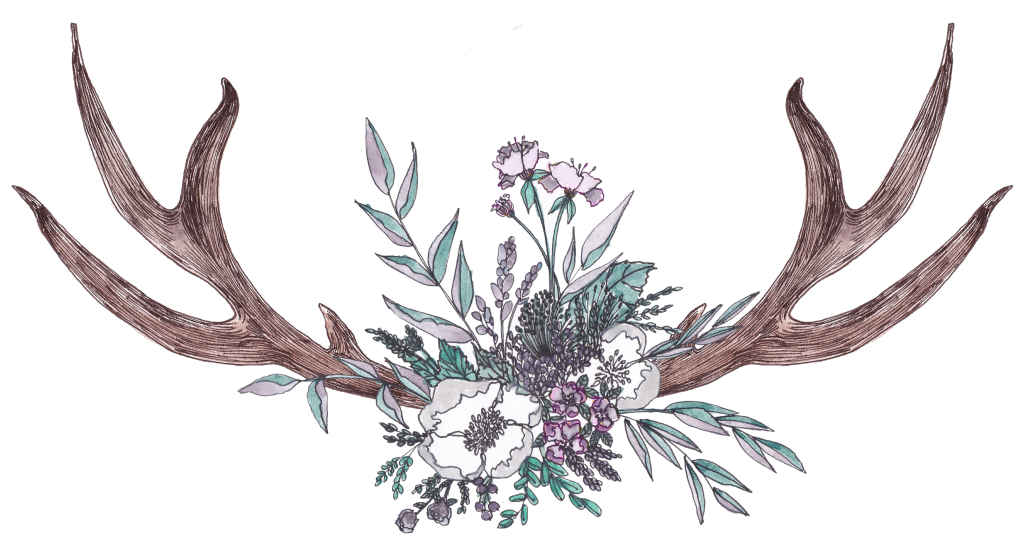 Hand Painted Antler And Wild Flower Motif - Illustration (1024x566), Png Download