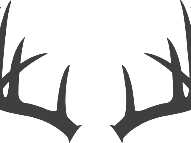Antler Clipart Transparent Tumblr - Deer Antlers Black And White (640x480), Png Download