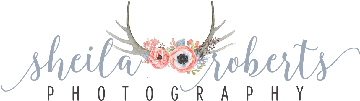 Reindeer (1254x375), Png Download