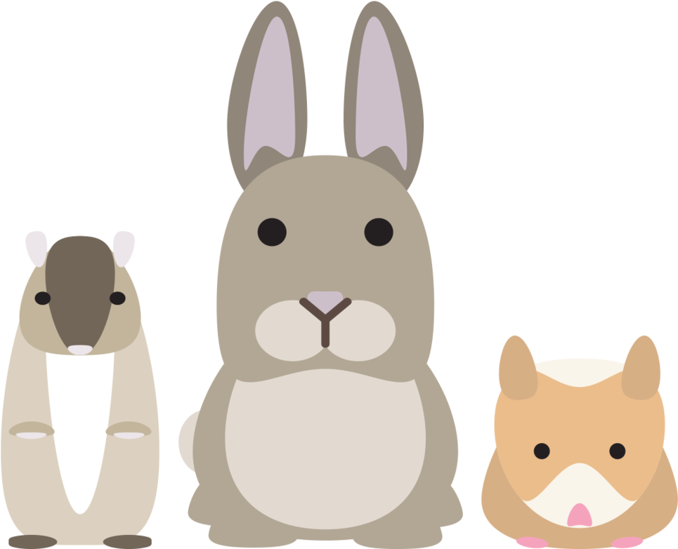 Small Animal Products - Pets Clipart Png (1000x785), Png Download