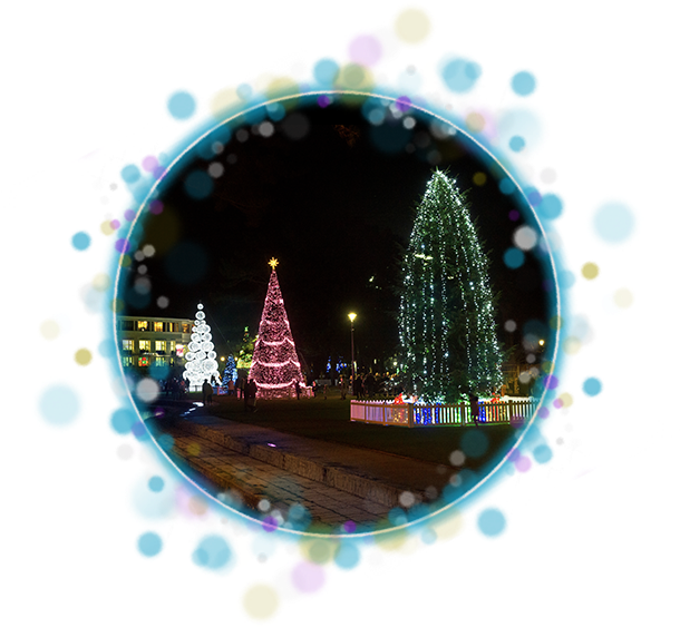 3 Christmas Tree's In Blue Sparkle Circle - Christmas Tree (673x620), Png Download