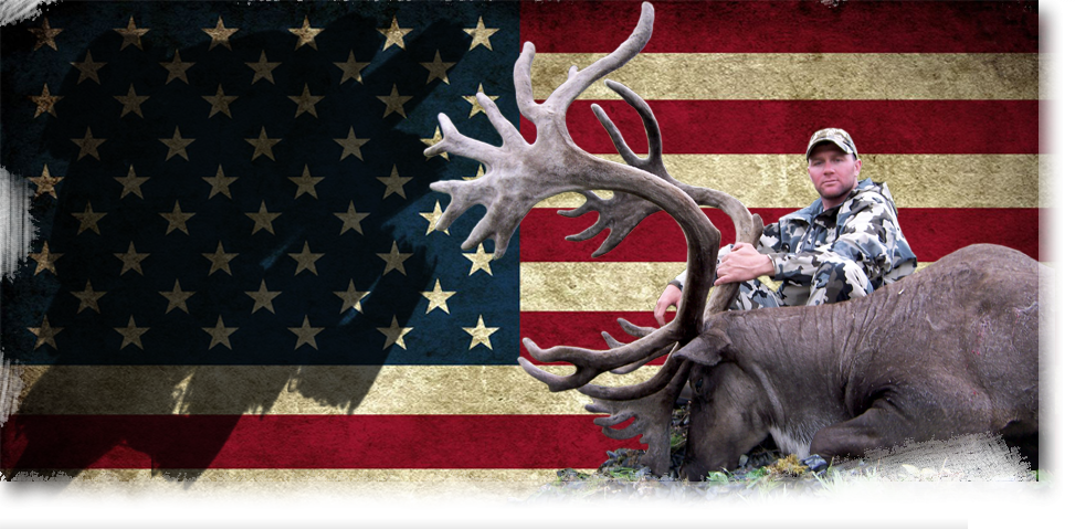 Sfw - Usa Flag (973x479), Png Download