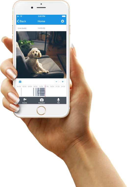 If The Internet Goes Down The Video Will Be Saved On - Iphone Female Hand Png (518x763), Png Download