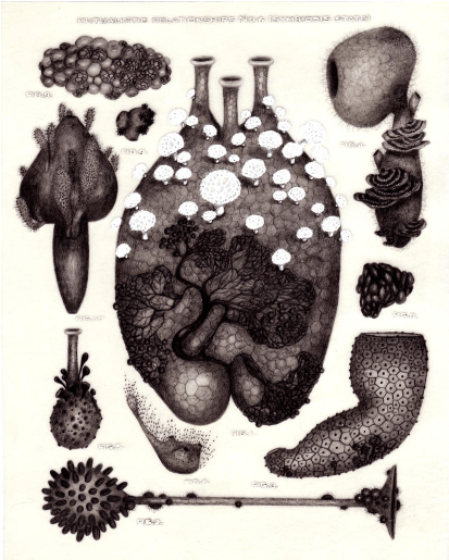 Artwork By Amber Stucke, Courtesy 2731 Prospect - Illustration (777x514), Png Download