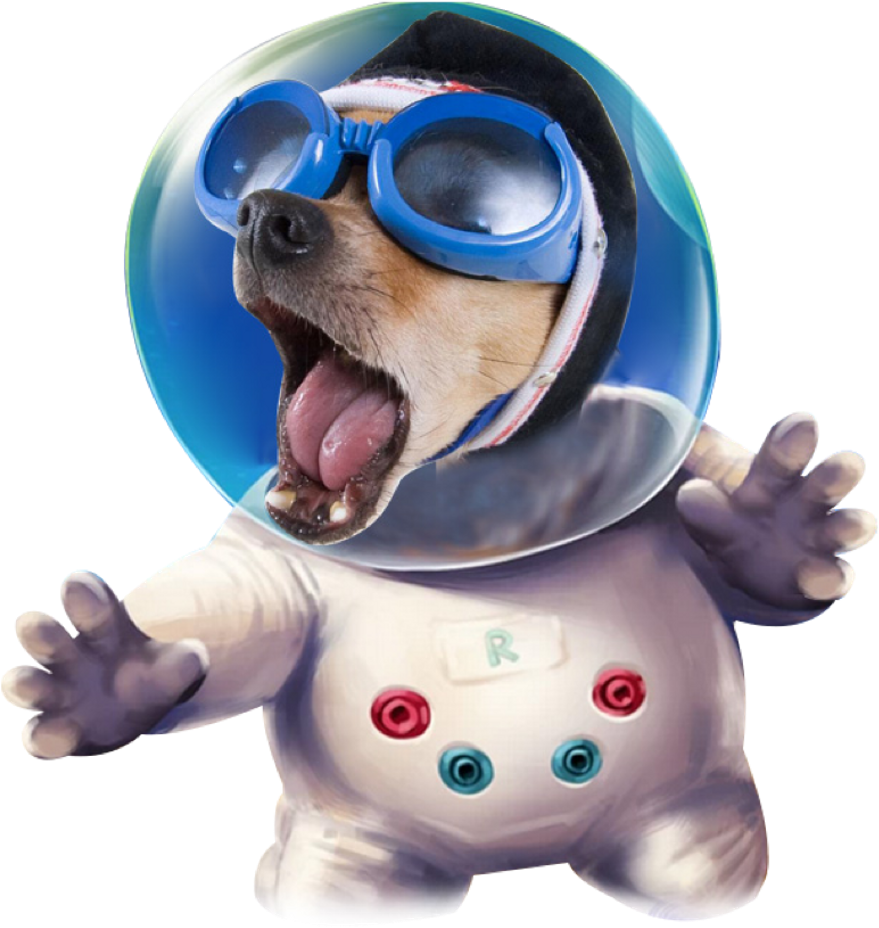 Ftestickers Astronaut Space Funny Dog Freetoedit - Space Dog Cartoon Png (1024x996), Png Download