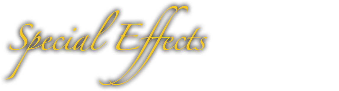 Special Effects By Christina Delorenzi - Calligraphy (1206x324), Png Download