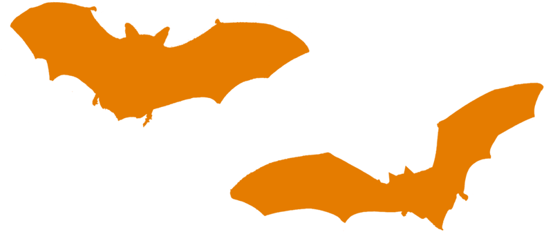 16 More Days 'til Halloween - Orange Bat Clip Art (869x414), Png Download