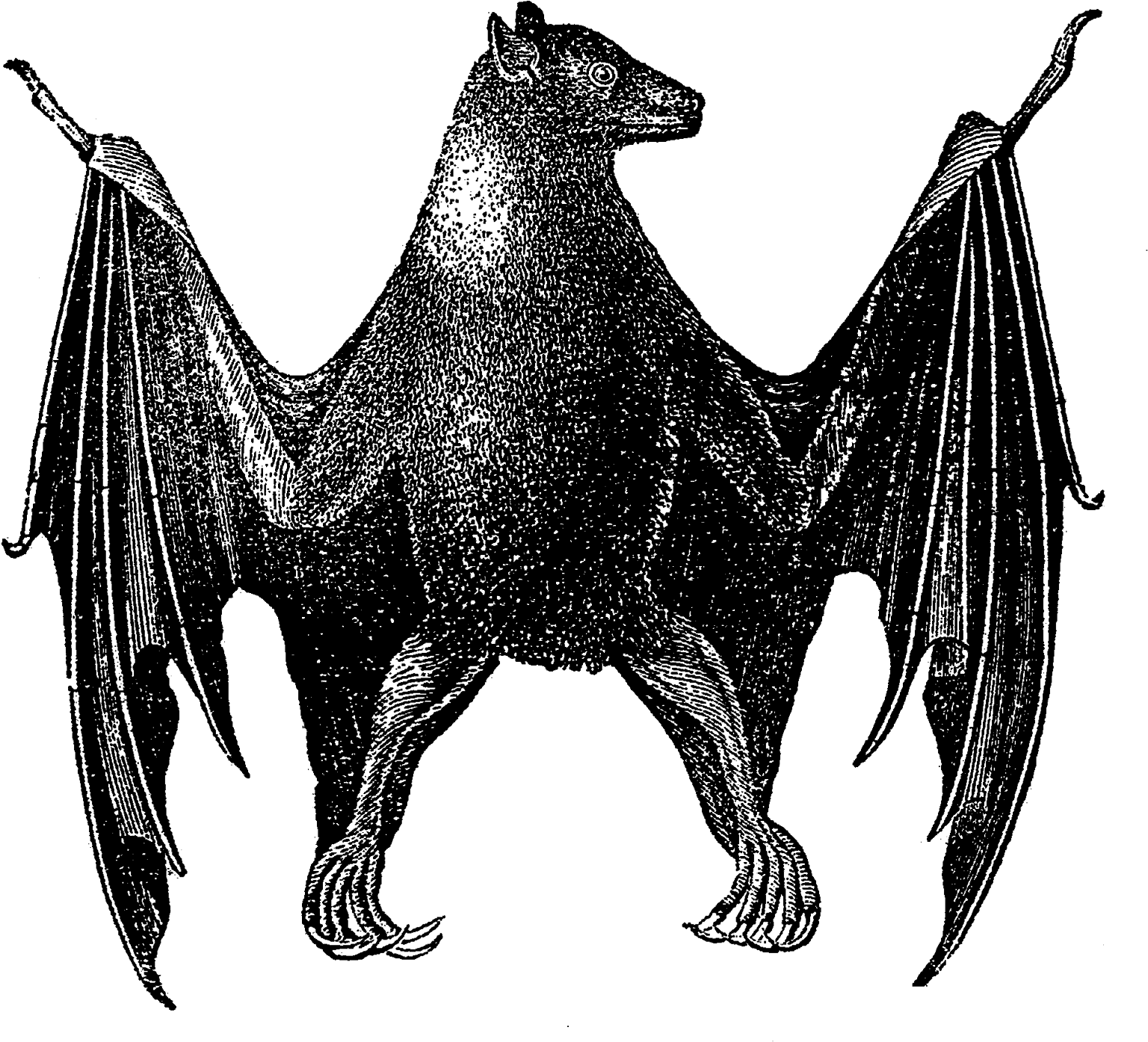 Scary Halloween Bat Images - Halloween Scary Bats Drawings (1600x1474), Png Download