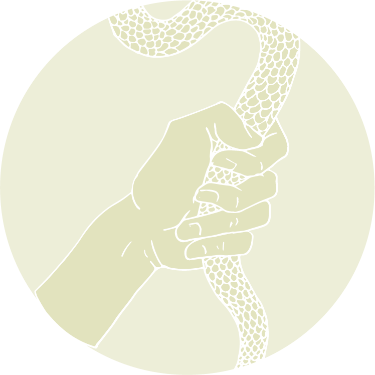 Hand Grabbing Snake@2x - Illustration (748x748), Png Download