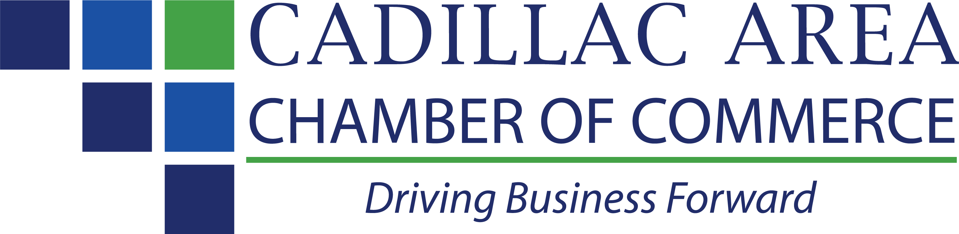 Cadillac Area Chamber Of Commerce - Oval (3052x747), Png Download
