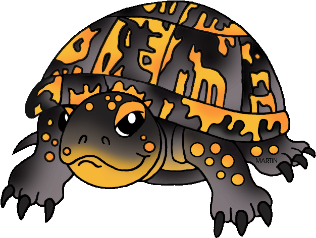 Clipart Turtle Box Turtle - Box Turtle Clip Art (648x504), Png Download