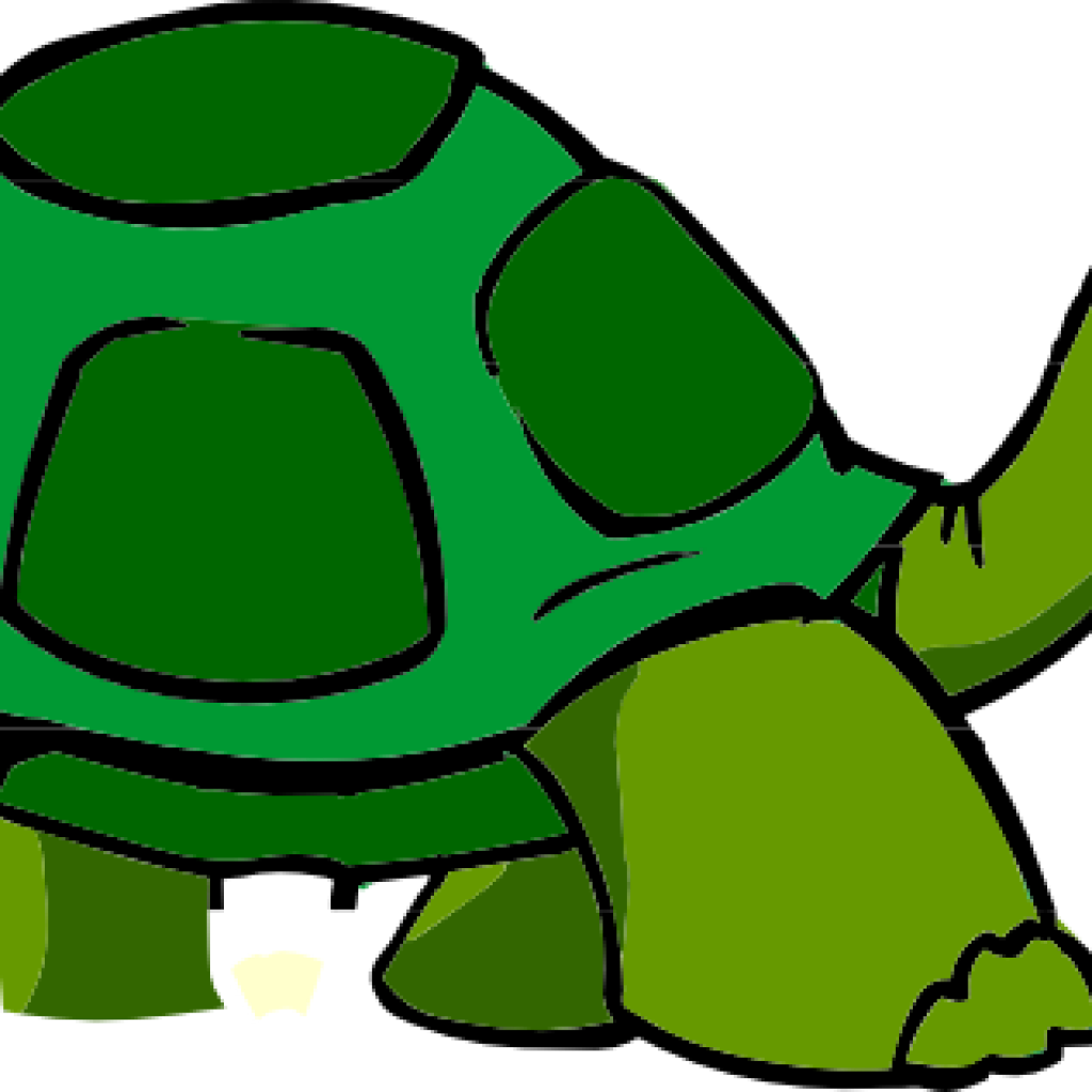 Free Turtle Clipart Turtle Clip Art Free Clipart Panda - Animated Turtle (1024x1024), Png Download
