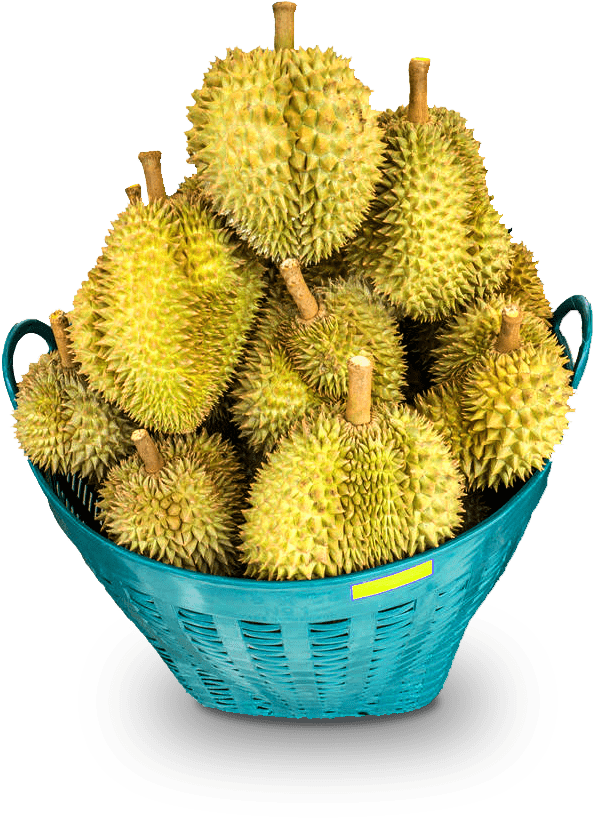 A Cool Cafe Themed Set Up Outlet That Emphasizes Great - Artocarpus Odoratissimus (675x900), Png Download