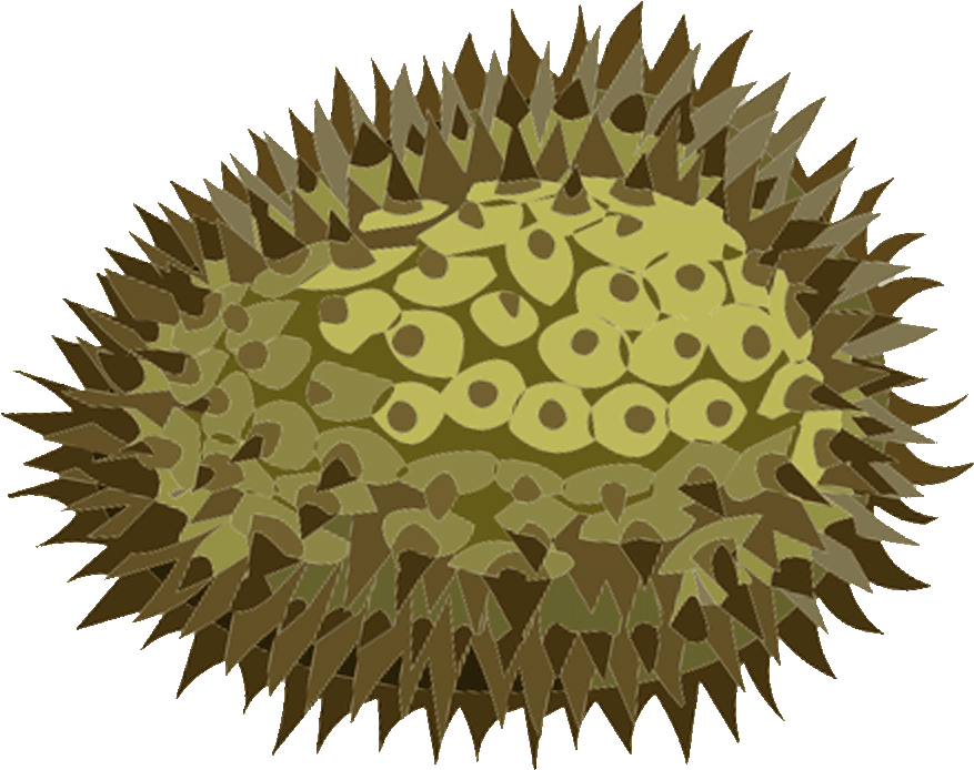 Clipart Transparent Download Fantastic Fruits Coloring - Chakra Images In Png (1280x720), Png Download