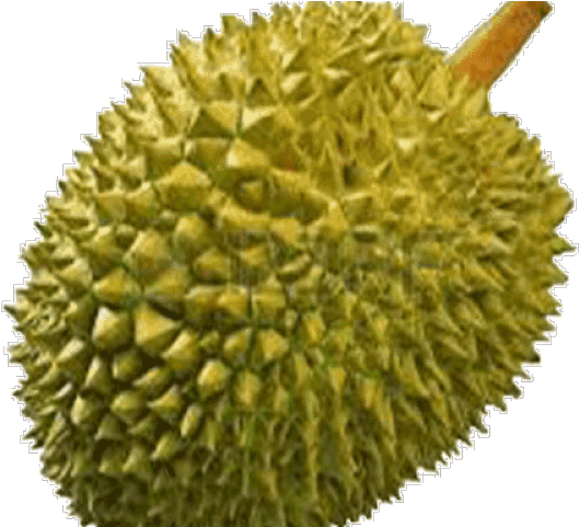 Durian Clipart Transparent - Png Durian (640x480), Png Download